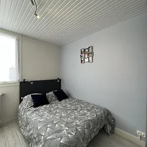 Le Pont Jumeau - T4 Proche Airbus Appartement