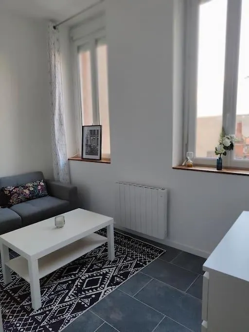 Charmant Appartement Hyper Centre Metro Gare Toulouse